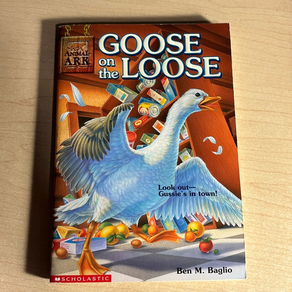 Goose on the Loose by Ben M. Baglio